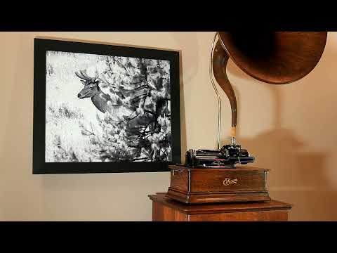 Country Song, "Susie Ann" by The Blue Ridge Duo on Edison Blue Amberol Cylinder Record #4978