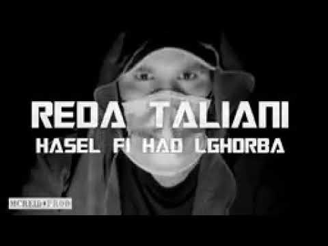 Reda taliani 2021 hasel