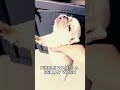 Pibble WANTS A Bellywash Meme Pets Instagram