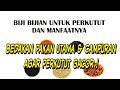 Biji Makanan Burung Yang Menyehatkan 