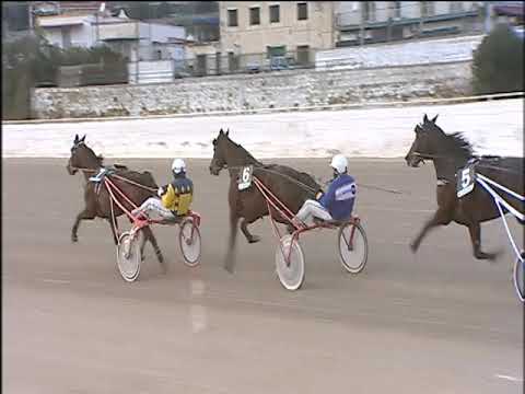 Trotto 07/01/2020 - 4ª corsa