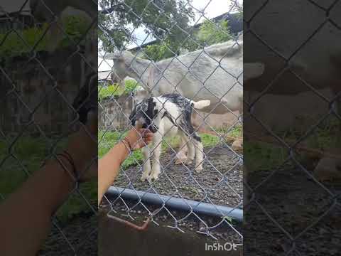 Praderas, Lislique, La Union, El Salvador.