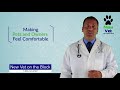 New Vet on the Block Demo_SolidBackground