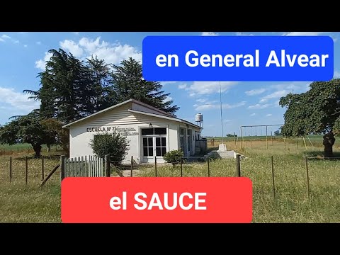 El SAUCE en General Alvear - Buenos Aires