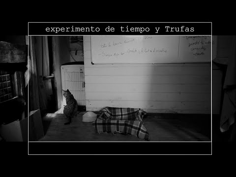 experimento de tiempo y Trufas, 2022.