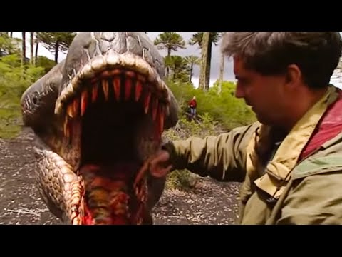 The Making of Walking with Dinosaurs in HQ Part 1 | BBC Earth
