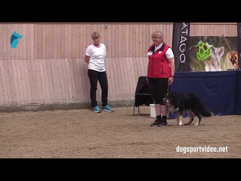 Qualification - Małgorzata Wilamowska + Tending Nimbus/Border Collie - Poland