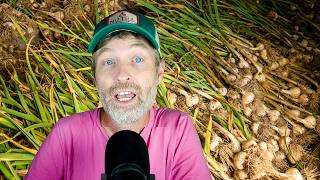 Garlic Harvest Season Tips - Can You Get Garlic Earlier?