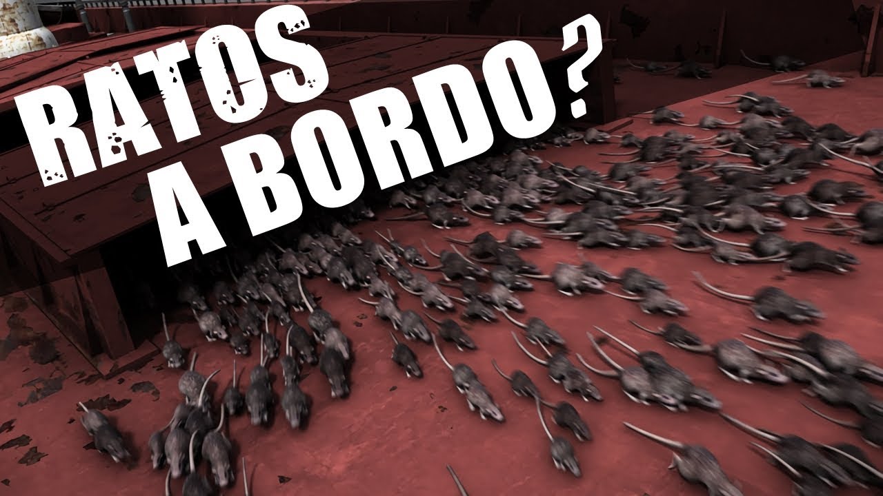 UM NAVIO ASSOMBRADO... POR RATOS FAMINTOS? A História da Embarcação Fantasma: Lyubov Orlova!