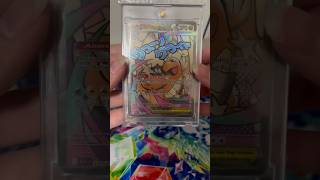Completé el Pokedex. Este es mi castigo. #pokemon #pokemoncards #pokemonchannel #pokedex #pokemontcg