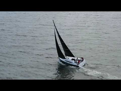 A Great Day for a Sail Aboard the Sun Odyssey 349-Limited Edition