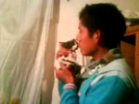 quique el come gatos