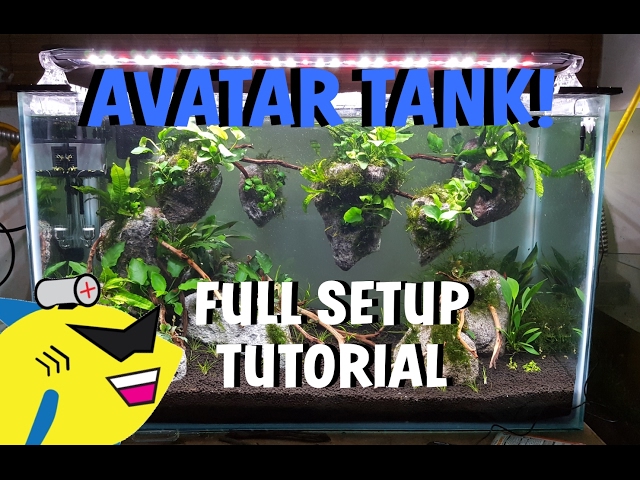 AVATAR PLANTED AQUARIUM: Shrimp Tank Setup Tutorial