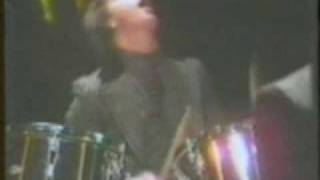 The Wasps Run Run Angelica