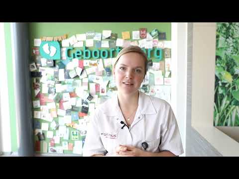 Rondleiding | St. Antonius Geboortezorg