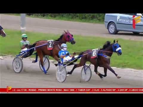 II Corsa del 14 Giugno 2023 - 5 Anni ed oltre - Metri 1600