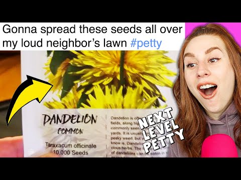 Petty People Getting REVENGE  - REACTION