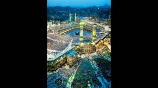 surah kauser with urdu translation.