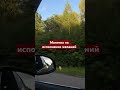 Слушай 👆🏽здесь #мантрауспеха #силасознания #материализациямыслей #ведьма #какисполнятьжелания