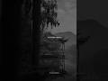 Soulmate Song Ll Slowed Reverb Song Status Lyrics Video Ll Lofi Asthetic Love