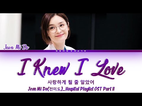 Lirik lagu OST K-Drama - Jeon Mi Do - I Knew I Love (Hospital Playlist