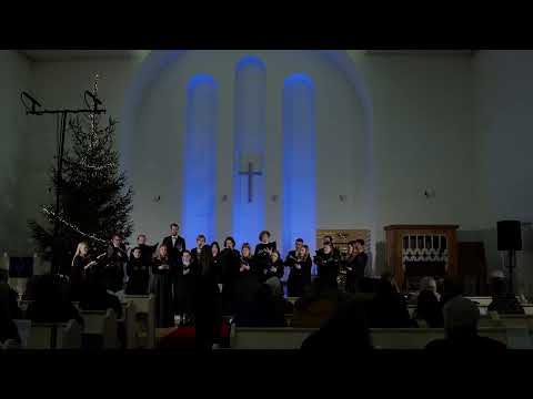 Laudatio Domini: II. Vox Domini