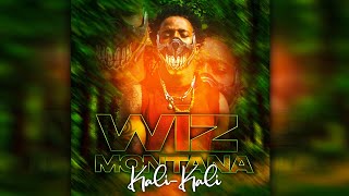 WIZ MONTANA  KALIKALI Son Officiel