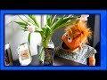 Natalie Curtis Blooper Bunny
