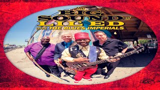 "You Don't Exist Any More"  Lil' Ed &amp; the Blues Imperials