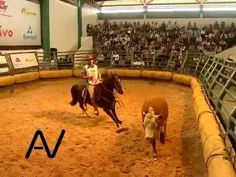 News Roundup 06/21/2014