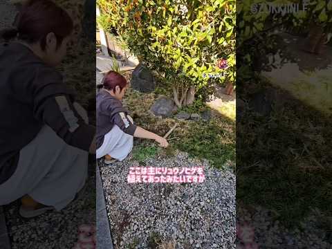 自然な外観を与える景観を囲む小川の植物を配置する方法