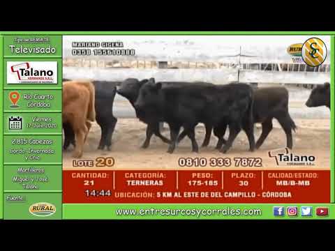 17-07-20 - 80 Remate Televisado de Talano Hnos S.R.L. - Río Cuarto, Córdoba