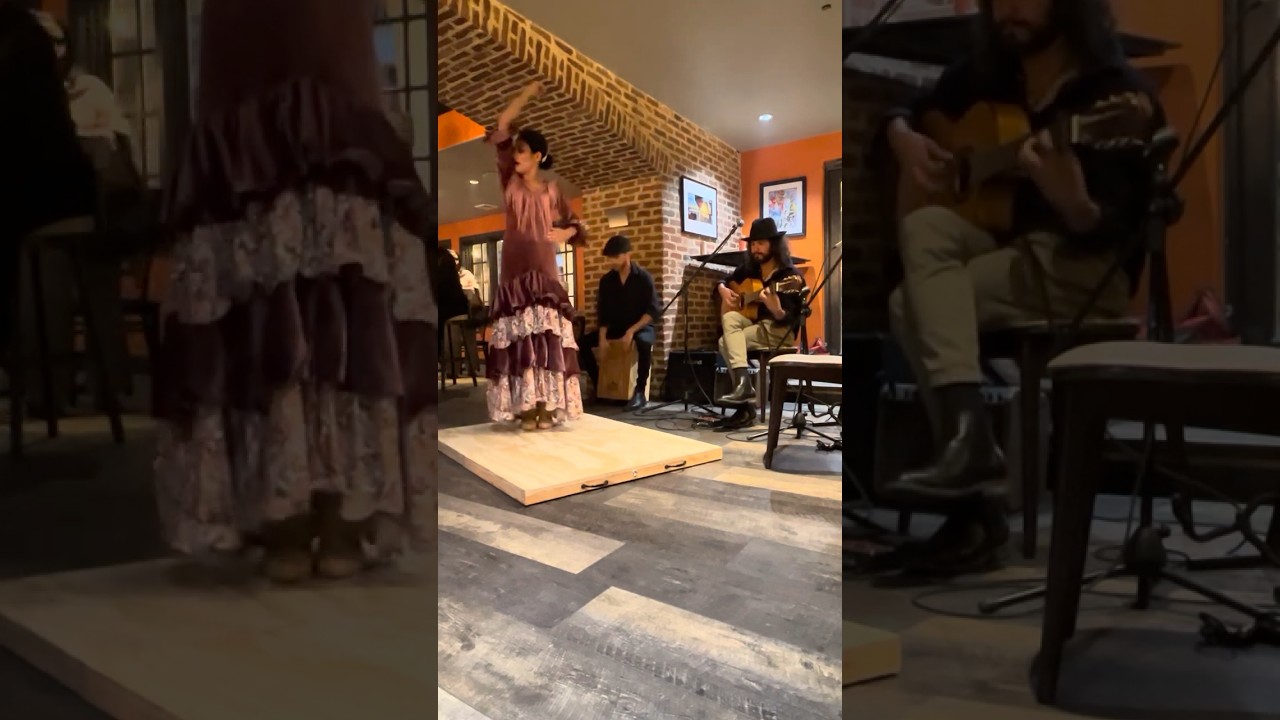 Promotional video thumbnail 5 for Diego Espinosa Music