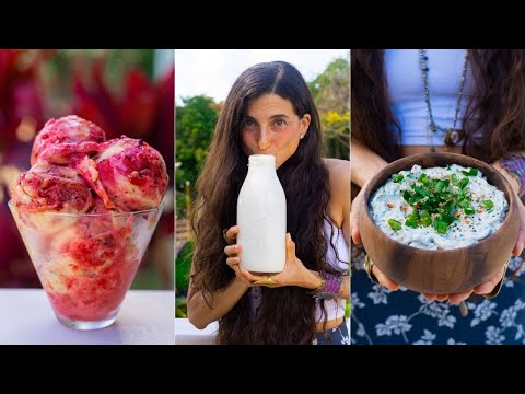 Simple Dairy-Free Recipes You'll LOVE 🥛 Make Your Own Plant-Based Milk, Ice Cream, Cheese & Sauces