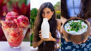 Simple Dairy-Free Recipes You’ll LOVE 🥛 Make Your Own Plant-Based Milk, Ice Cream, Cheese & Sauces