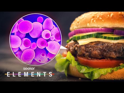 你的下一個漢堡可能是由微生物製成的 (Your Next Burger Could Be Made With Microbes)
