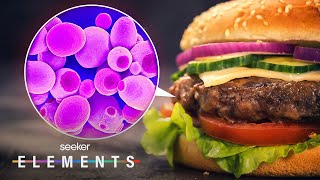 Your Next Burger Could Be Made With Microbes