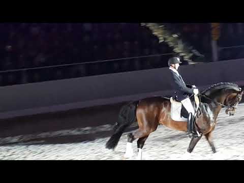 REVOLUTION und D'AVIE