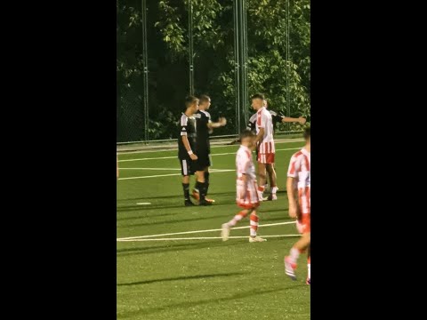 Fk Crvena Zvezda 2011 - Fk Čukarički 2011