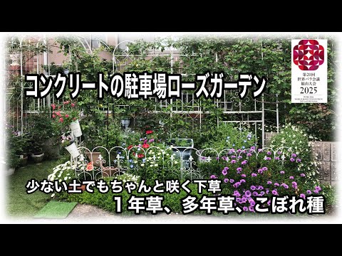 園芸 庭の装飾コンクリート