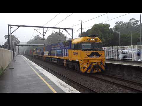 NR66 (Movember) / NR5 with PN 4BS6 - 28/1/21