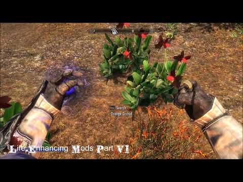 Skyrim Life-Enhancing Mods Part VI