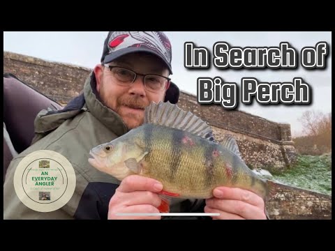 Kennet and Avon Canal - In Search of Big Perch