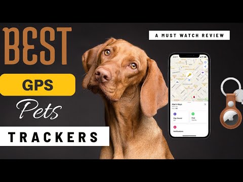 Best GPS pet trackers || Best GPS pet trackers 2021 || The Best GPS Trackers || Best Reviews
