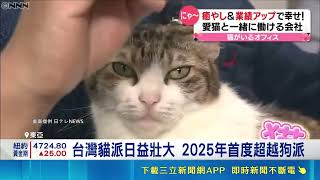 毛小孩是"療癒夥伴" 專家憂:恐比小孩多 貓派還是狗派? CNN:東亞貓派增生中｜記者 魏仁君｜國際關鍵字20260511｜三立iNEWS