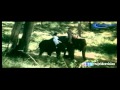Ammai Aanai Appan Aanai HD Song