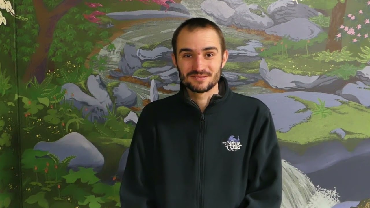 February 2024 Cubs and Kits video