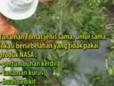Berarti untuk meningkatkan potensi testosteron di Potensi Horn