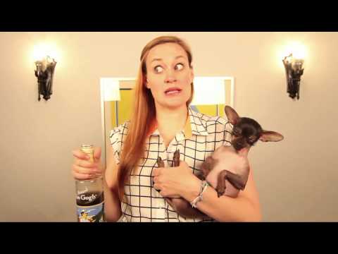 Quickshots: Cool Beanz!