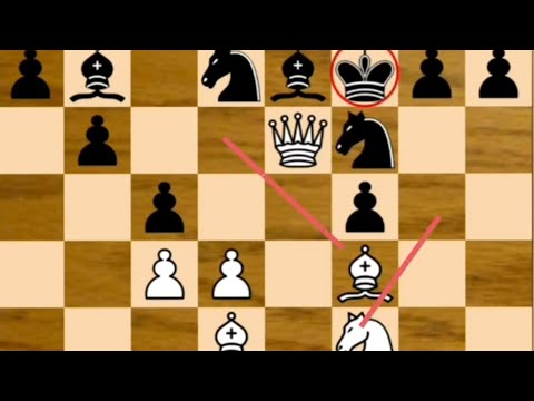 Alekhine vs M Feldt / French Defense/ 1916